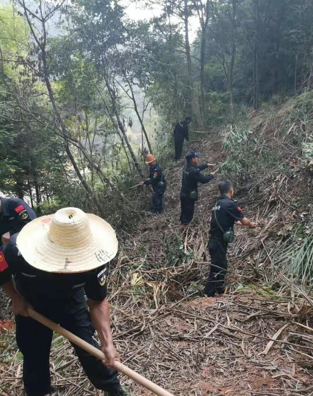 干好每一天|青山掛白我復綠，無私奉獻金森人——資源保護部義務突擊隊工作記實