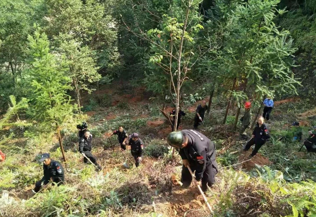 干好每一天|青山掛白我復綠，無私奉獻金森人——資源保護部義務突擊隊工作記實