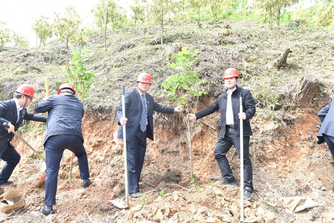 “守護綠水青山，共助鄉村振興” ——農發行沙縣支行與福建金森黨總支開展共建活動